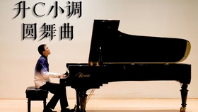 圆舞曲不能说的秘密曲谱_不能说的秘密(4)