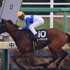 2023-1-14 中山10R アレキサンドライトS ロードヴァレンチ