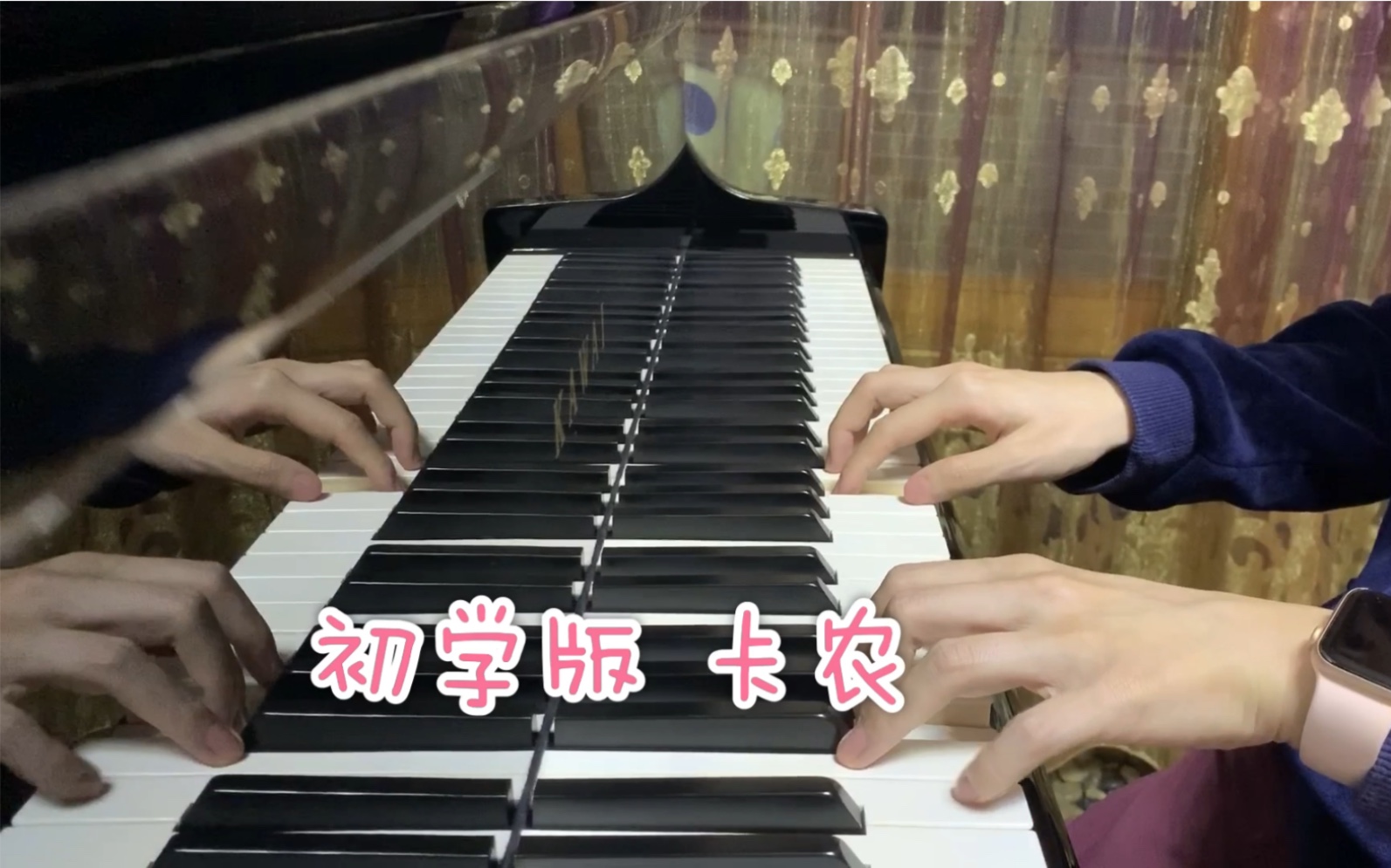 【钢琴】【成人自学】初学版 卡农 适合新手 又好弹又好听的钢琴曲 哔哩哔哩 Bilibili