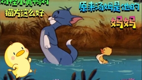 免费送猫和老鼠账号 f81b14f812467076b99c07c62692a09626f9ecba.jpg@280w_158h_1c_100q.jpg