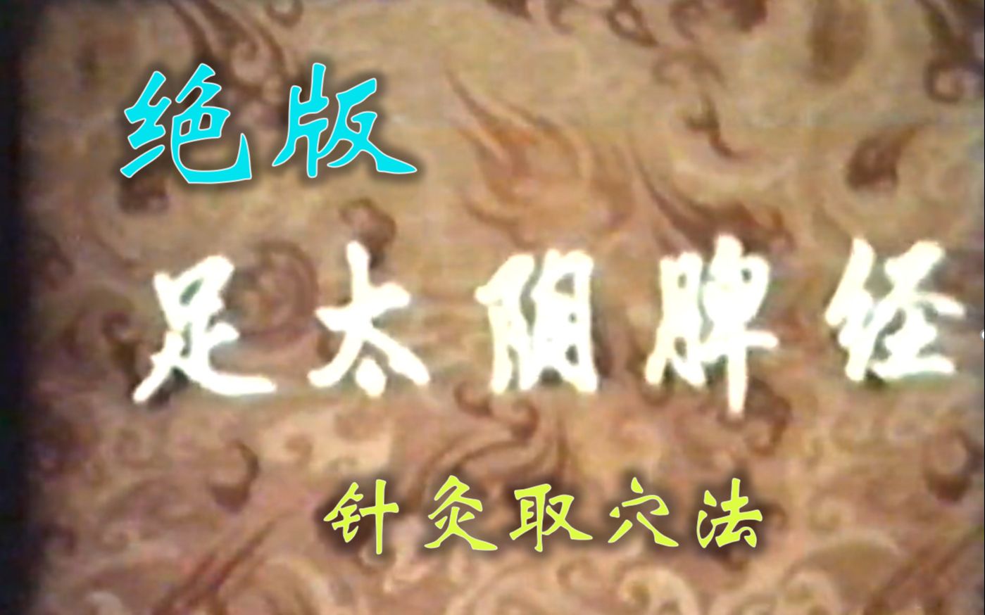 【绝版】针灸取穴法 足太阴脾经 北京科学教育电影制片厂出品 杨甲三 程莘农 顾问 耿恩广 王国瑞 等指导