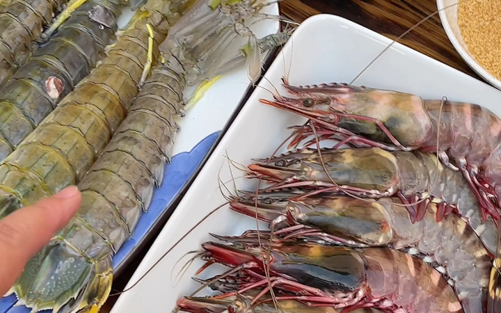 泰国美食：巨型皮皮虾和巨型黑虎虾泰式生腌教学来个巨虾双拼
