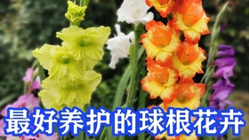 f82a54b9a9ec908fa393b116d0799d27a5f3bfdf.jpg@280w_158h_1c_100q.jpg