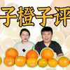 七种橘子橙子大评测，到底哪种便宜又好吃
