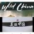 【全12集中英对照高分记录片《美丽中国》让孩子感受我们祖国的伟大，神秘和自豪！