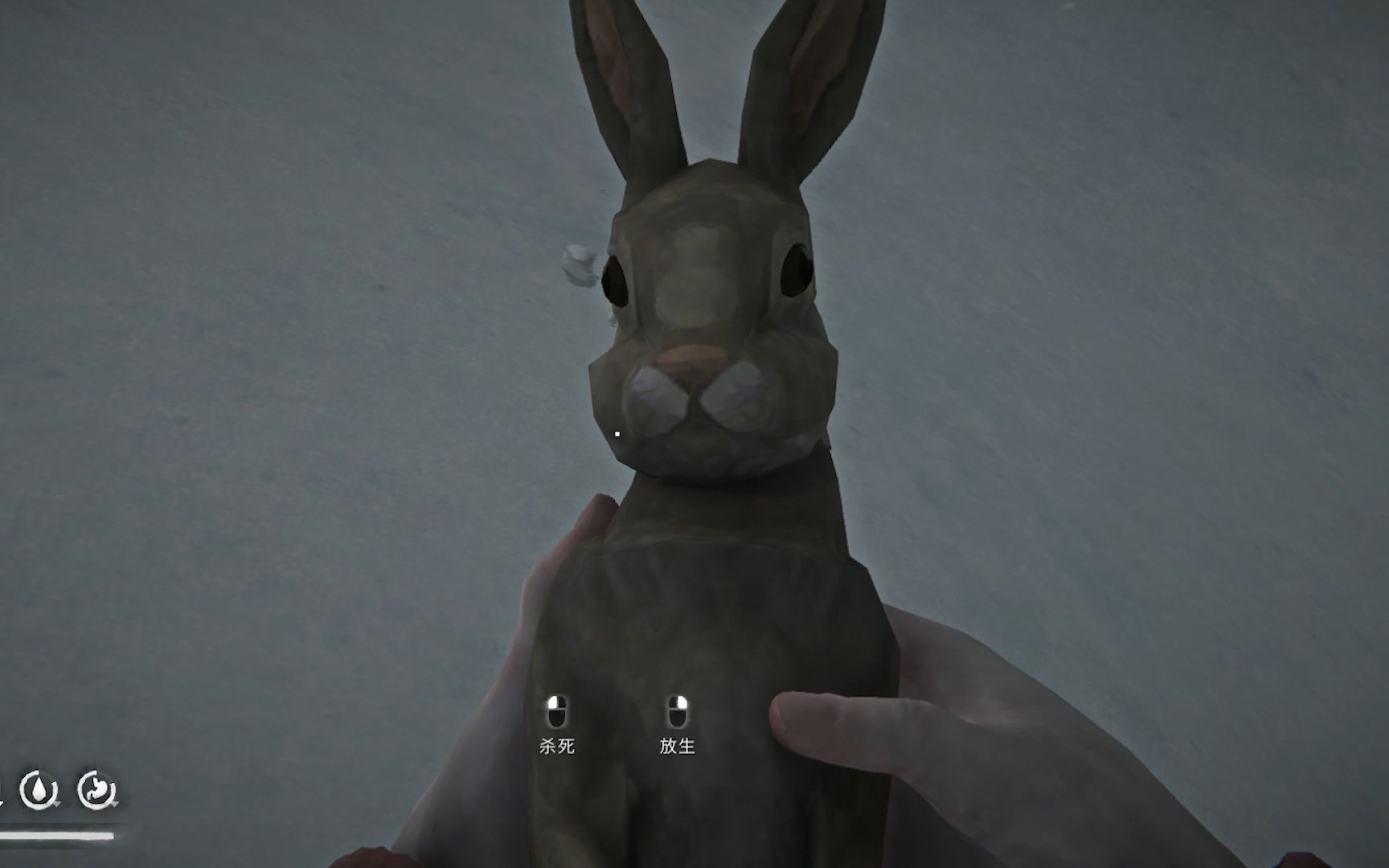 the long dark rabbit