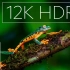 美丽视界 12K HDR 60fps 杜比视界 |演示视频