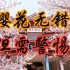“赏樱”是中国的传统风俗吗？