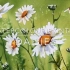 【水彩教程】水彩花卉的画法