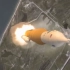 美国-SLS太空发射系统-规模与力量（动画）