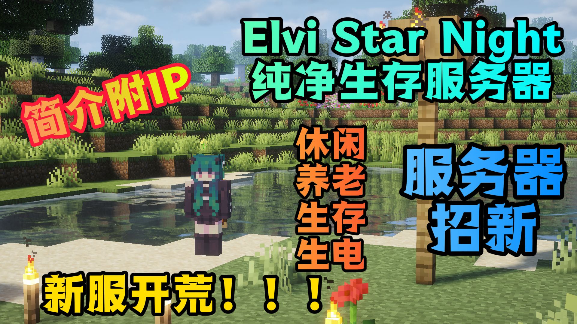 Elvi纯净生存服暑期招新！26.2 新服开荒！！！！简介附服务器IP