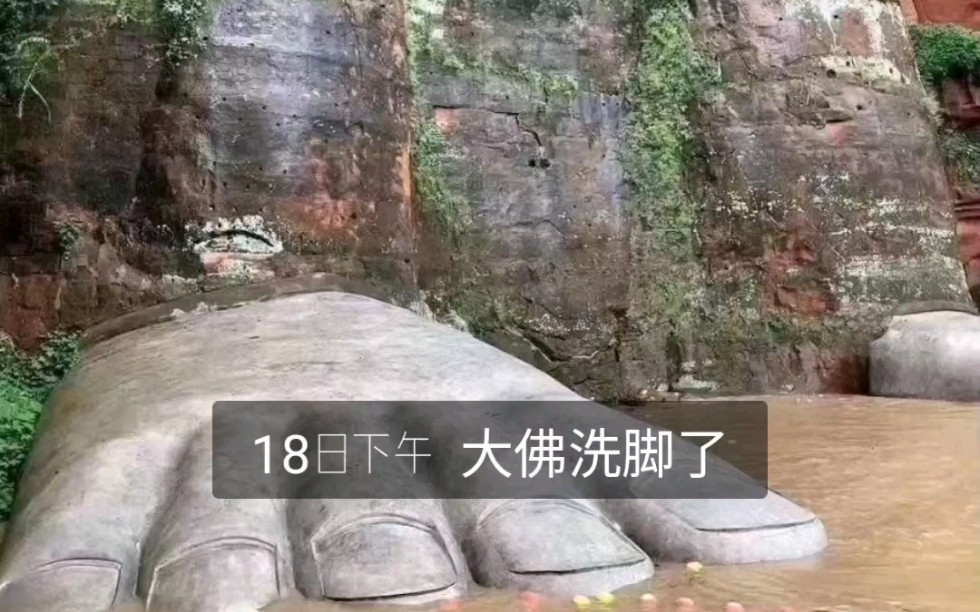 乐山大佛洗脚洪峰过境乐山大佛底部平台被淹没