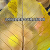 她们的委托报酬不对劲！-0102-ch