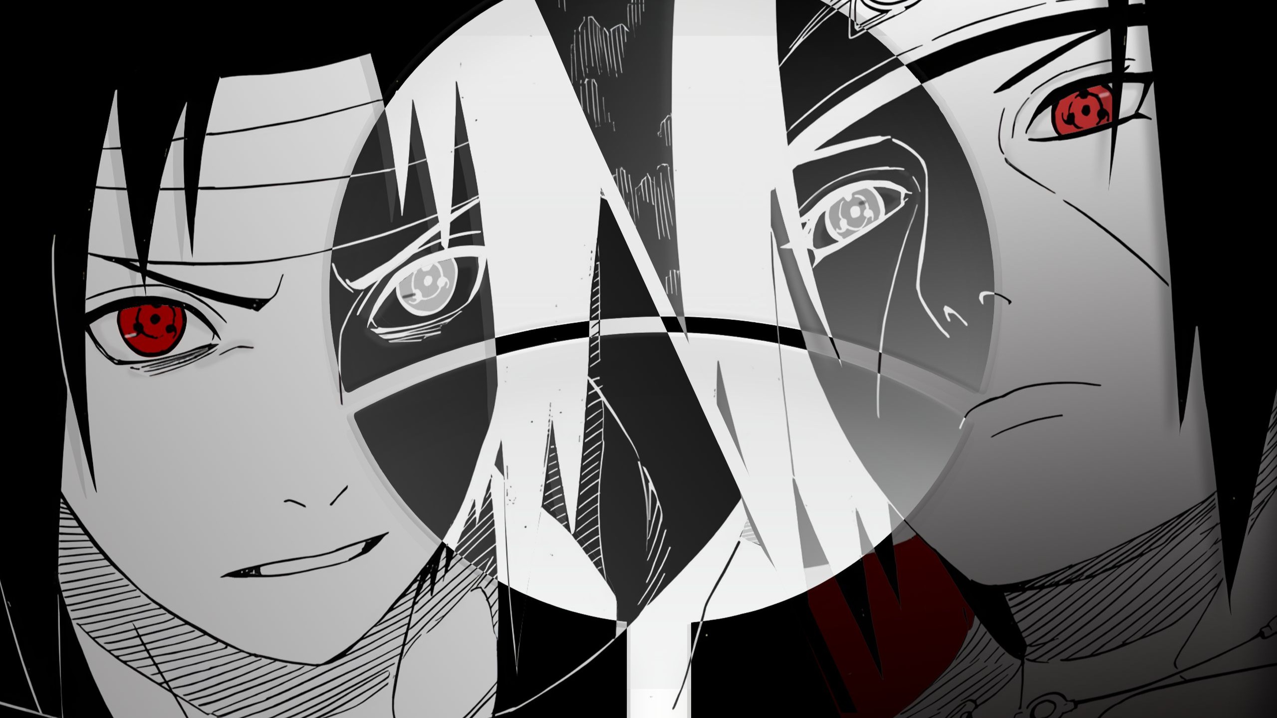 “我现在能看到的，是你的死去的模样”