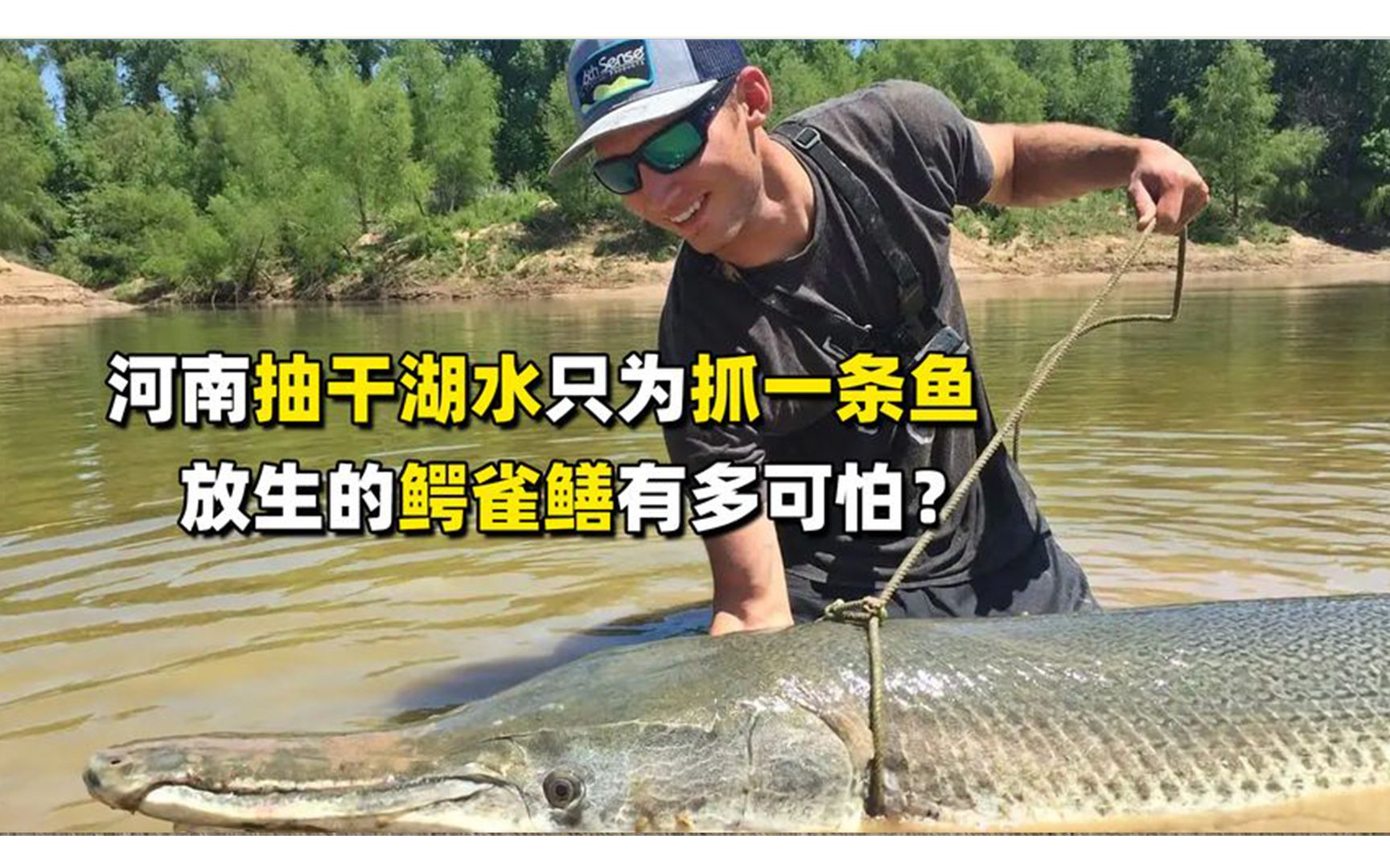 河南抽干湖水只为抓一条鱼,鳄雀鳝有多可怕?它是如何