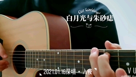 白月光和朱砂痣曲谱吉他_白月光与朱砂痣曲谱(3)