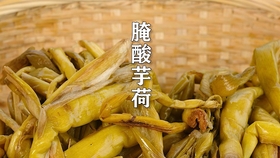 f91d5279208d6c5838d5645b5a924662cd3bef13.jpg@280w_158h_1c_100q.jpg