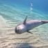 向潜水员展示自己的游泳技巧的小海豚