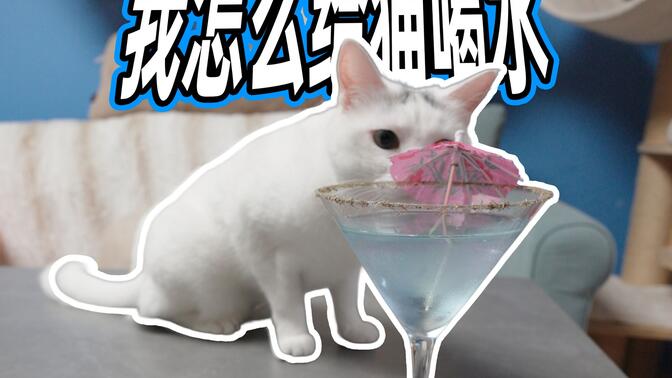 我是怎么給貓咪喂水的