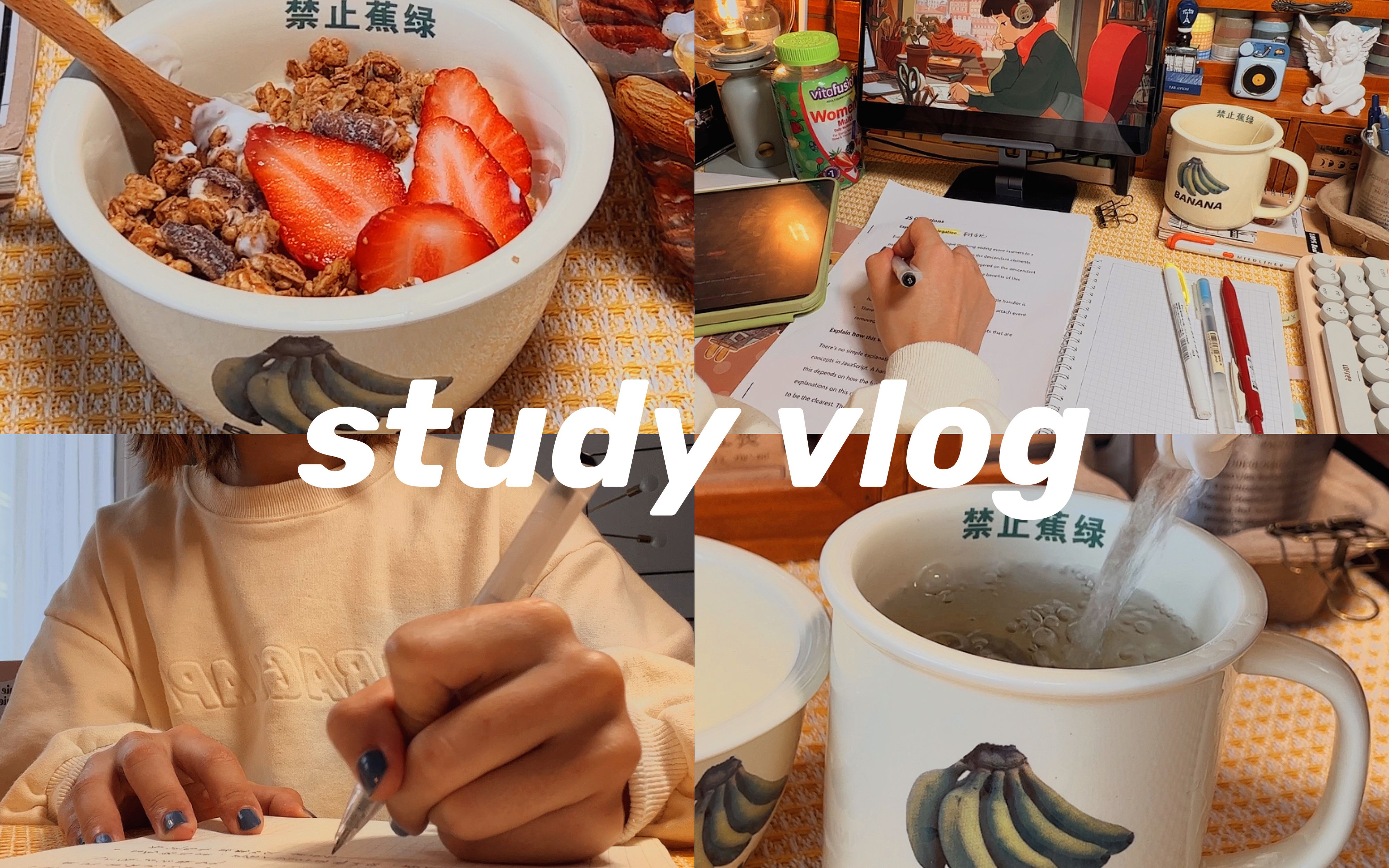 Study Vlog Study With Me