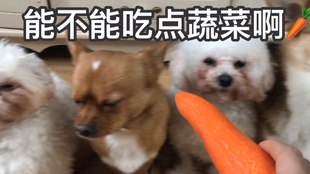 f946a720a4ca61dae7e160e1a0161787fdf31952.jpg@310w_174h_1c_100q.jpg