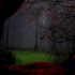 1小时 夜晚的森林里 雨滴拍打在帐篷上的自然声白噪音