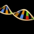 图羽C4D科研绘图教程7-DNA