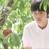 日本农科院天才少年观察桃子的珍贵影像：悠仁亲王在今天迎来了17岁生日(中日双语)(23/09/06)