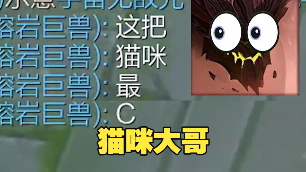 所有人都在为猫咪争风吃醋