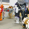 【国外&兽装】一起来看看国外的兽装游行吧！Anthrocon-2018（前排视角