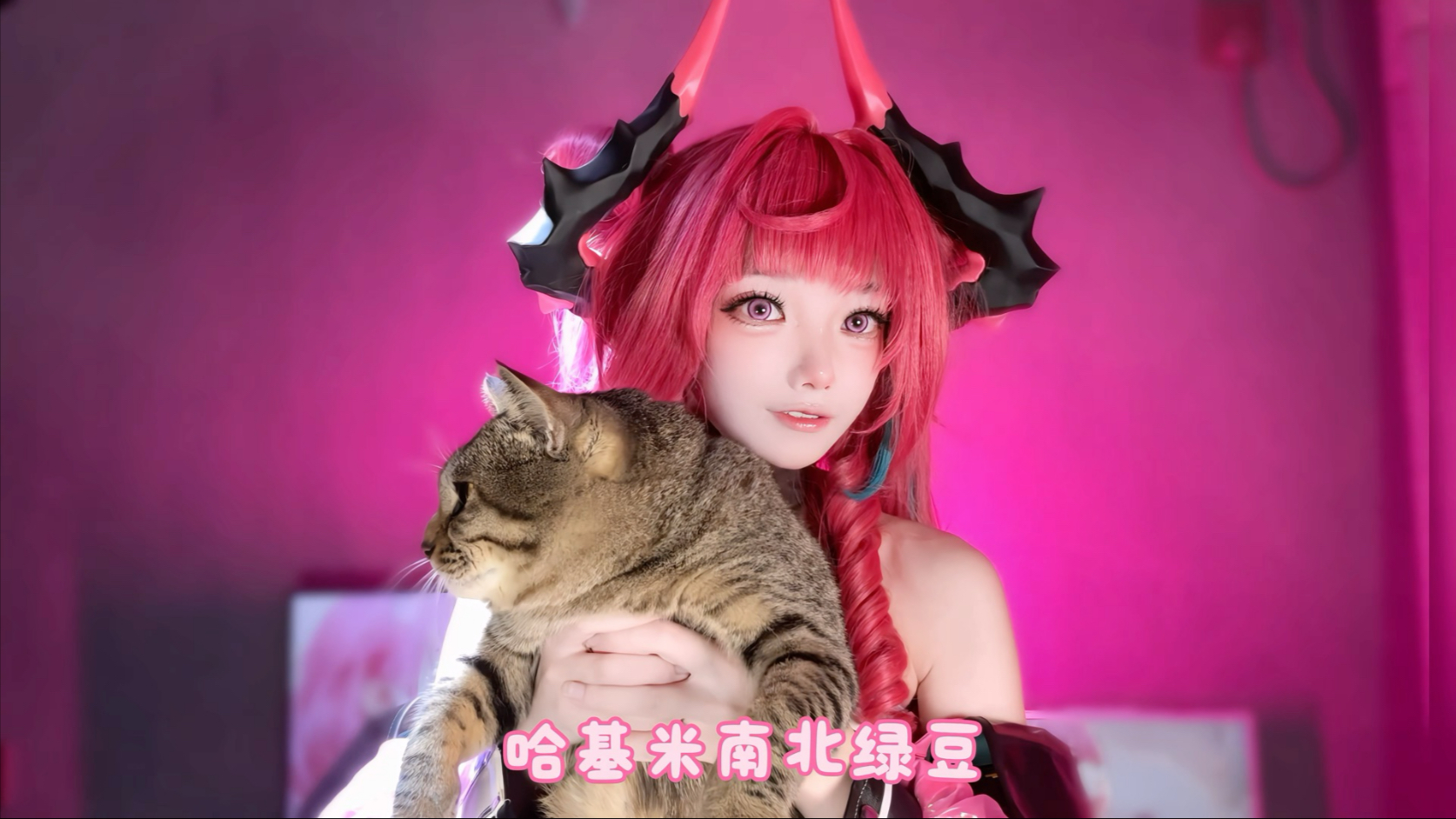 哈基米出场费三根猫条，不看镜头-1喵