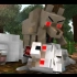 Minecraft温馨动画——狼的一生