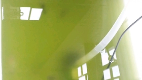 f9a8265b1c92a22fe322354ce4718496e331f2f5.jpg@280w_158h_1c_100q.jpg