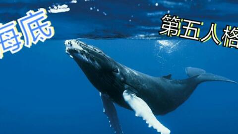 f9aedc4e029dfc89bfb435ddc5d859722743ab9c.jpg@480w_270h_1c