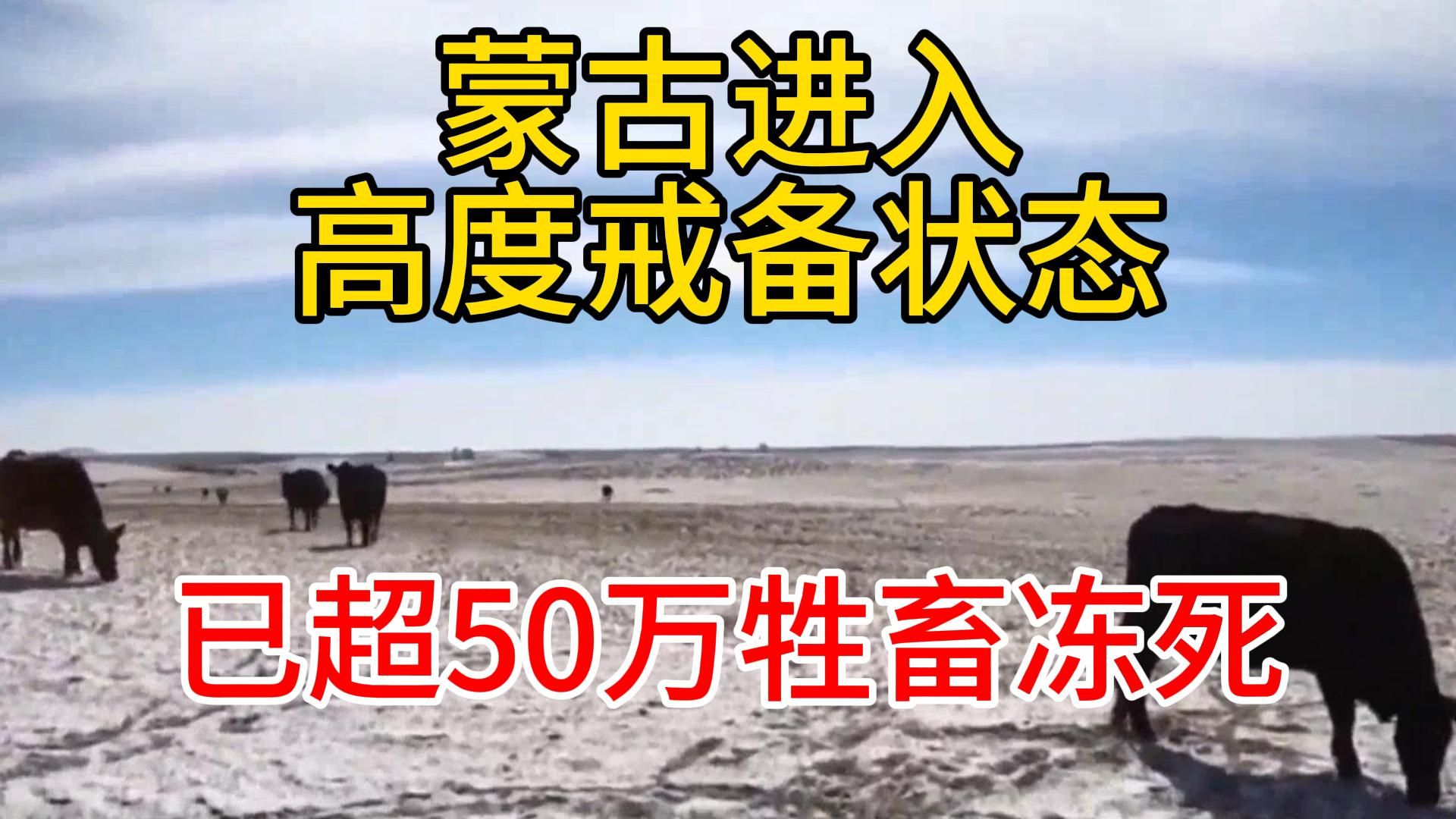 极端严寒!蒙古国遭遇50年不遇雪灾,今冬超50万头牲畜死亡2月16日热点热搜新闻联播哔哩哔哩bilibili