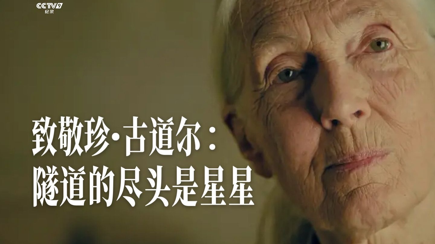 致敬珍·古道尔博士：隧道的尽头是星星