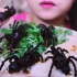 【LINH】玲玲姐吃可爱的小蜘蛛