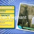 国家地理儿童版，英语，神奇动物1号，African Elephant，非洲象