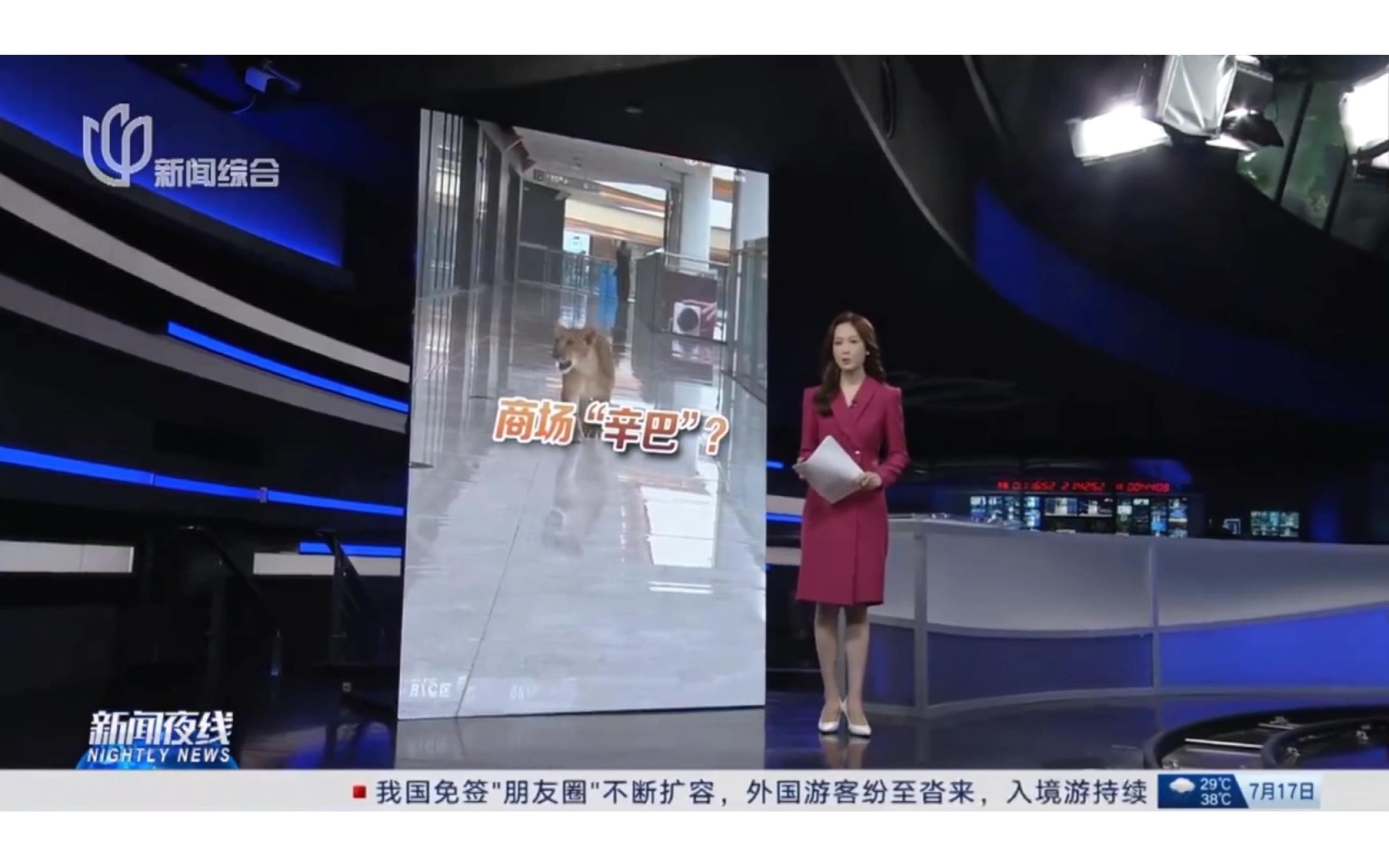 20240717STV新闻综合频道《新闻夜线》预告/OP/转场/ED