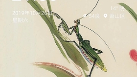 f9eeb98cdfae52b3b17d457c4245cbeb6b8f3de6.jpg@280w_158h_1c_100q.jpg
