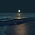 「海上生明月，天涯共此时」
