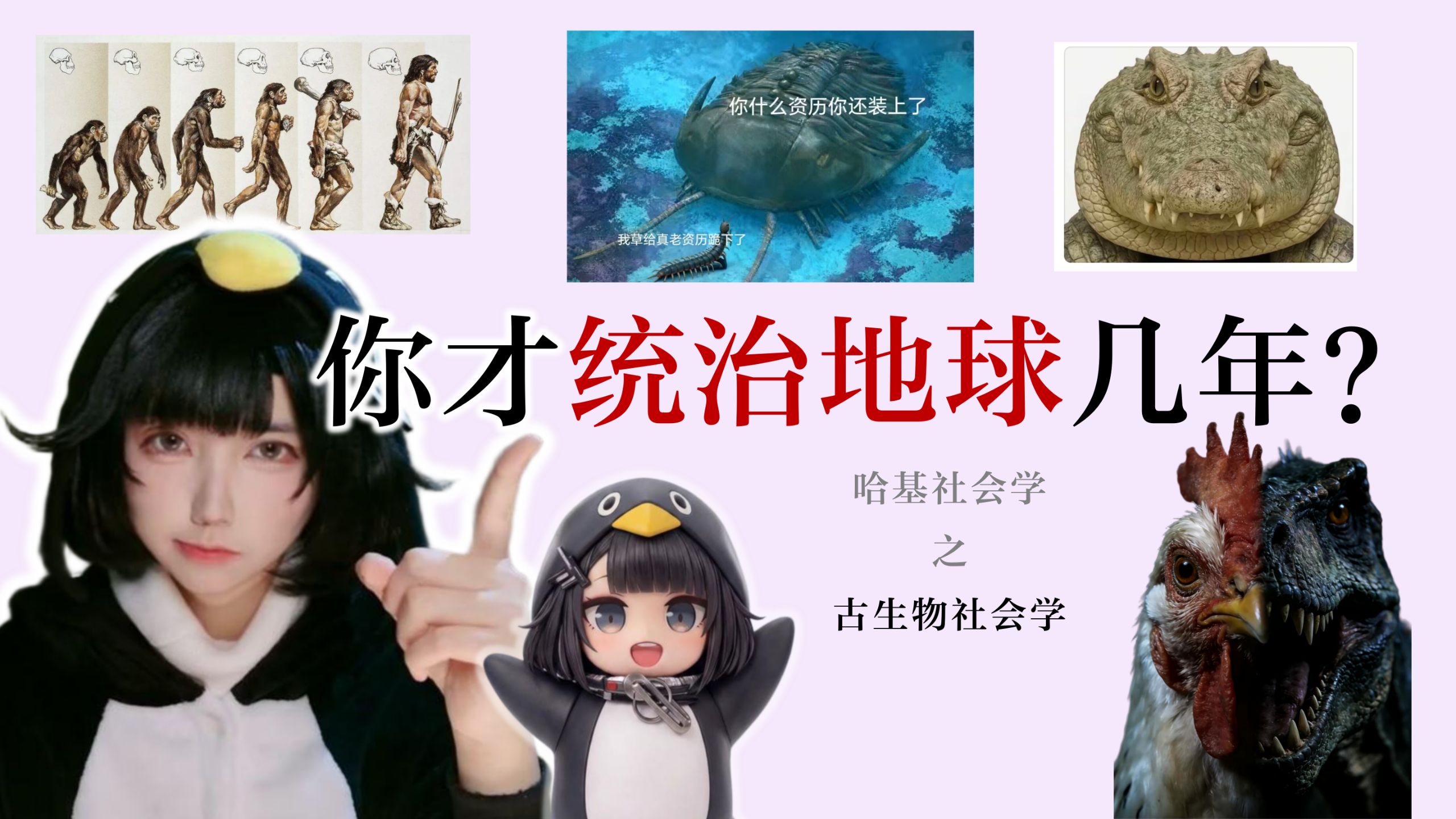 为什么有人爱拿古生物玩梗？谁才是真“老资历”？【哈基社会学之古生物】