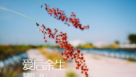 fa3139d1ff4518119b34a3072f43ba64393bb4c1.jpg@280w_158h_1c_100q.jpg