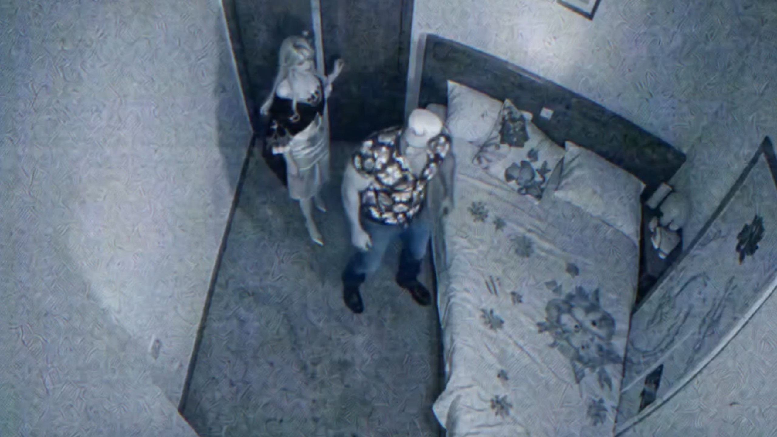 夫人的旅店监控录像～（伪）