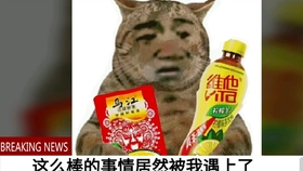 fa433a3dbdff10db297c1d42b075df2cba0f1405.jpg@280w_158h_1c_100q.jpg