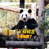 丫丫又来和大家碎碎念！吃饱喝足心中充满爱！看来又要贴膘了