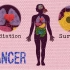 【译学馆】为什么癌细胞与健康细胞的行为不同？【中英文字幕】