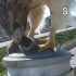 老鹰刚捉到一只活老鼠，飞到摄像头前表演吃播