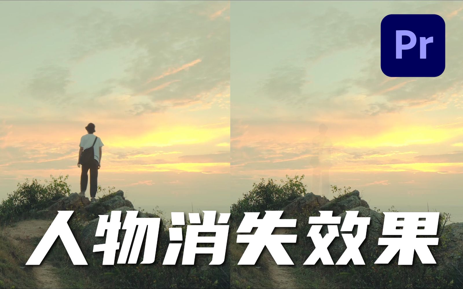 【PR教程】一分钟教会你！快速移除画面中多余的人物！_哔哩哔哩_bilibili