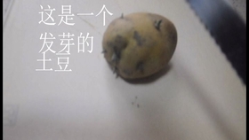 fabef269bf5636f45df314cc2369e7d4083de43d.jpg@280w_158h_1c_100q.jpg